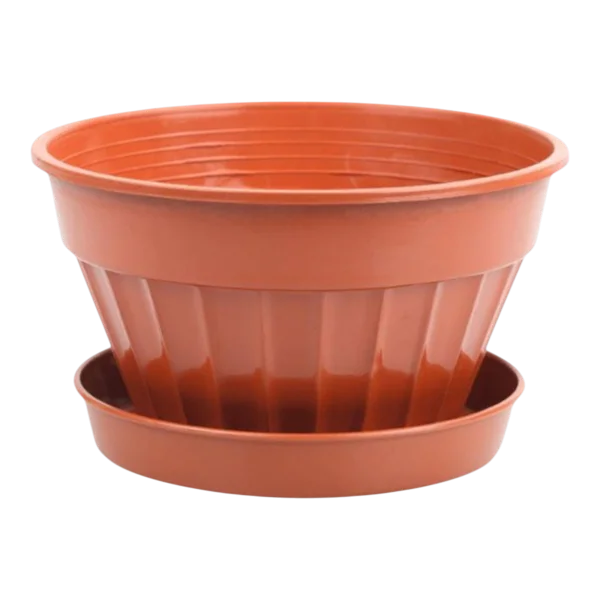 Pot Menekşe