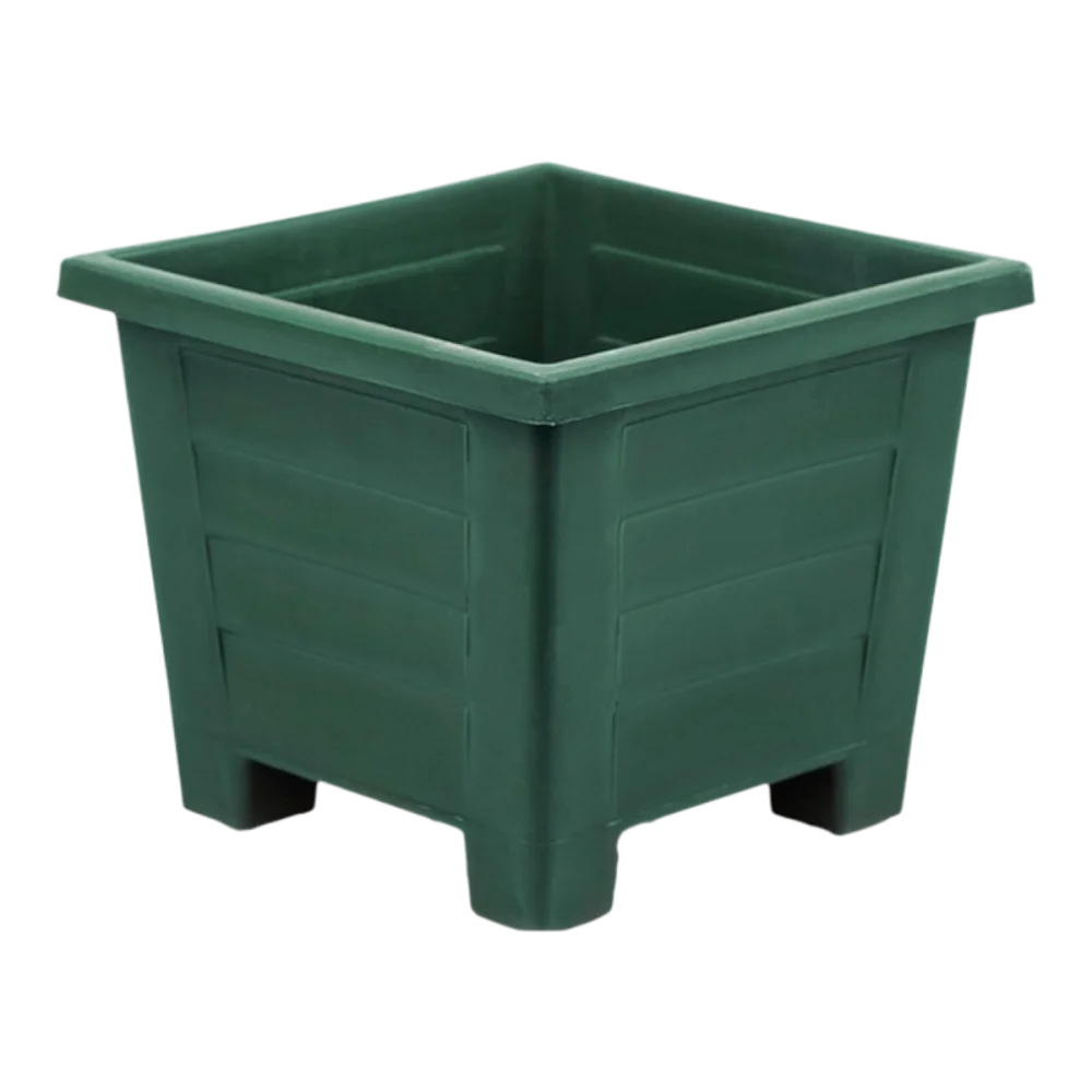 أصيص مربع أخضر