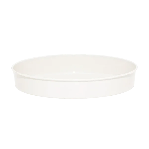 Soucoupe Menekşe
