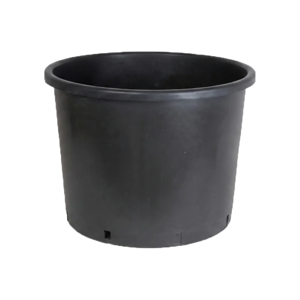 Pot pour arbustes et plantes à racines traçantes Noir