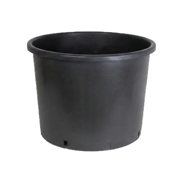 Pot pour arbustes et plantes à racines traçantes