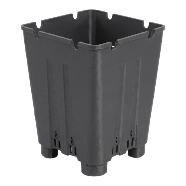 Pot pour plants de myrtilles