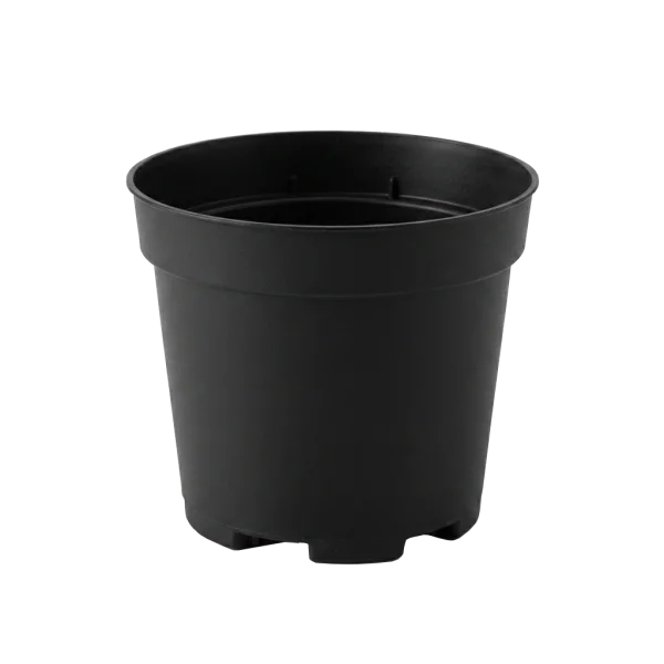 Pot de culture pour cactus et plantes grasses