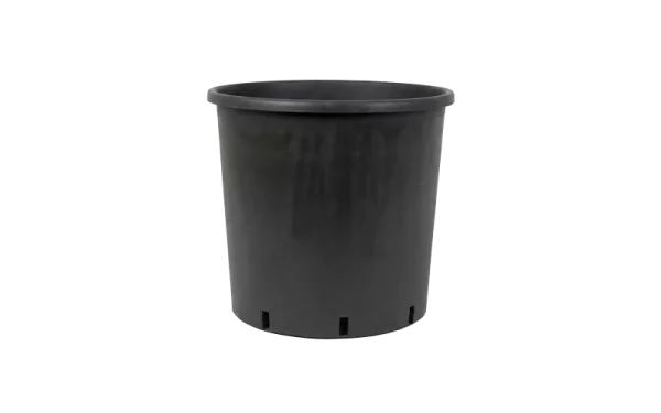 Pots de culture pour arbres fruitiers